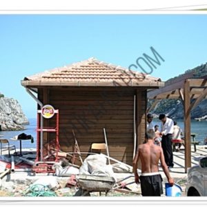 Ahşap Ev A9