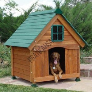 Köpek Kulübesi - 2