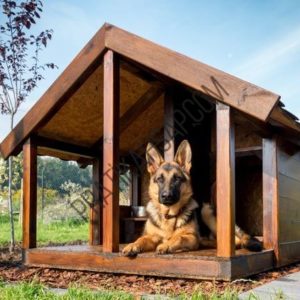 Köpek Kulübesi - 6